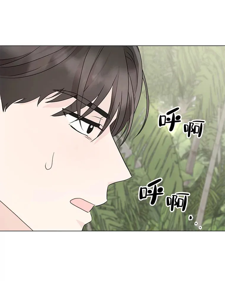 6.合力摘果 第20页
