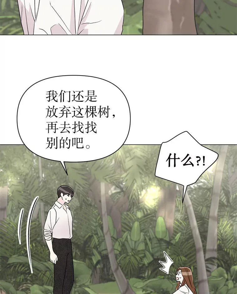 6.合力摘果 第22页