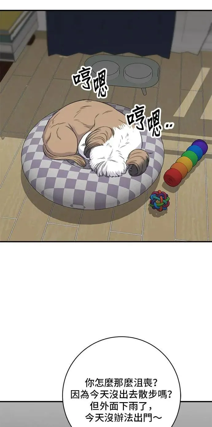 第204话 干炸酱面 第6页