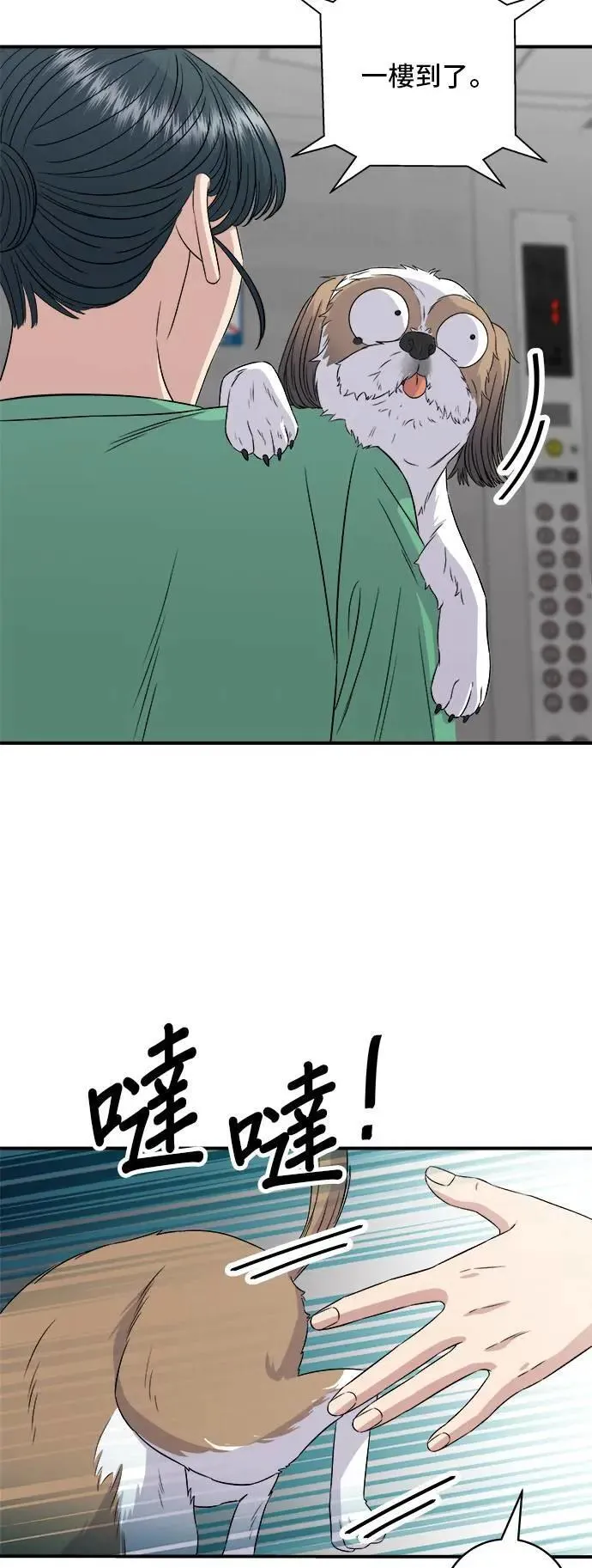 第204话 干炸酱面 第17页