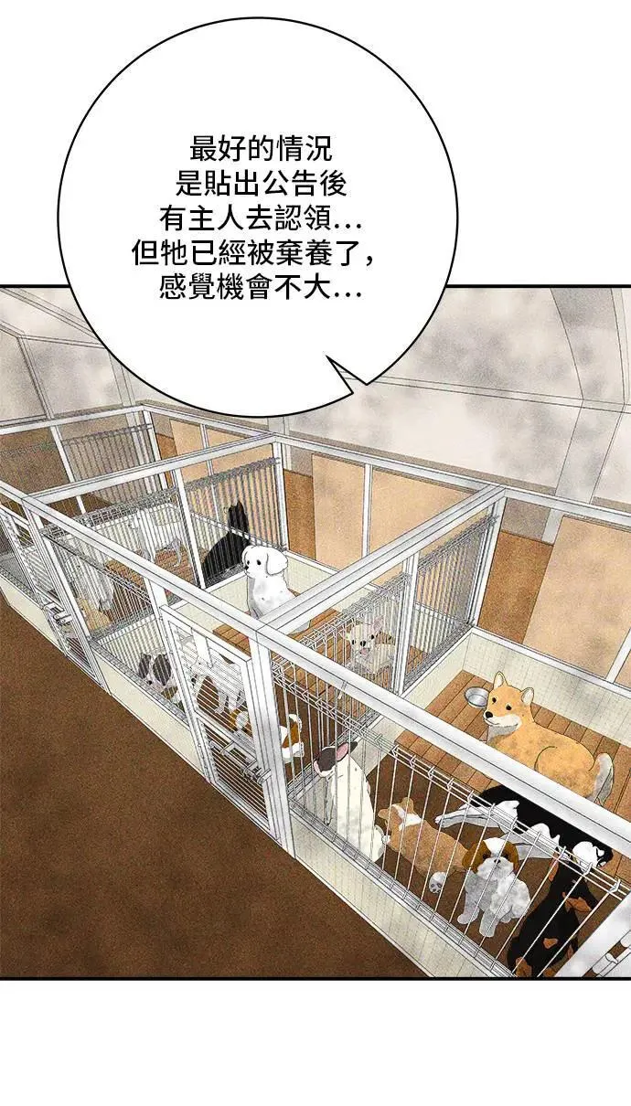 第198话 番茄炒蛋 第13页
