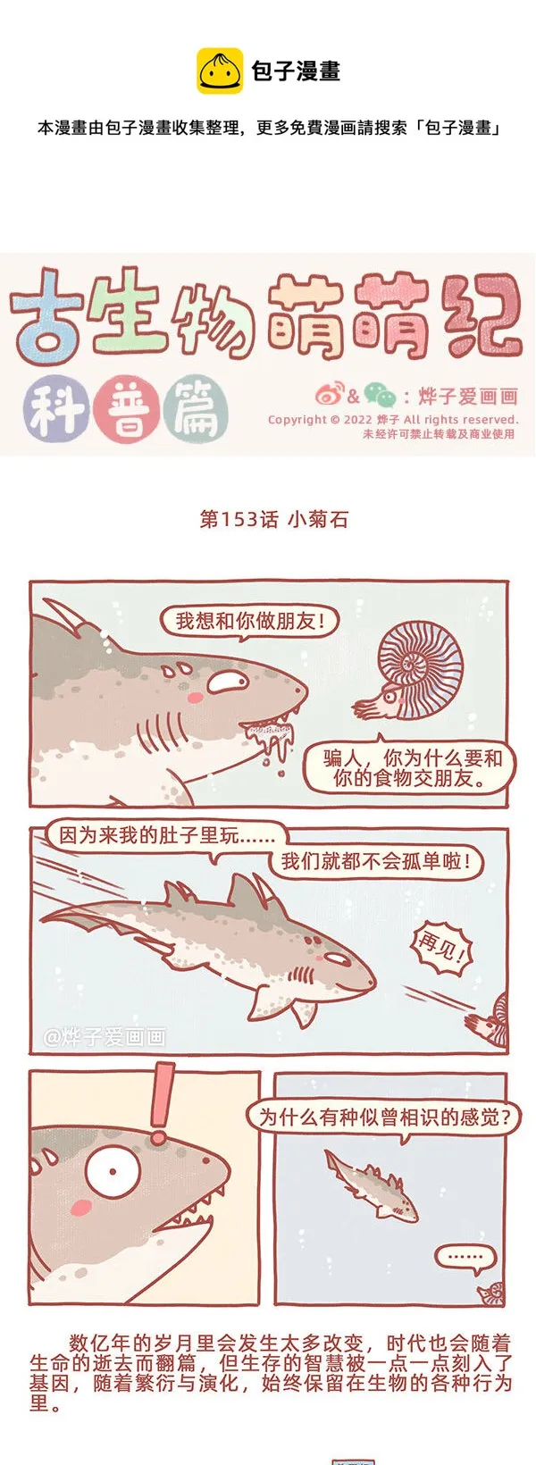 第153话 小菊石 第1页