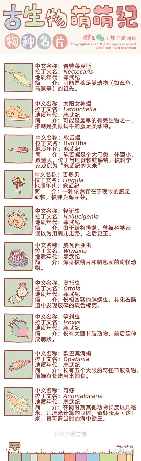 物种名片 寒武纪1 第1页