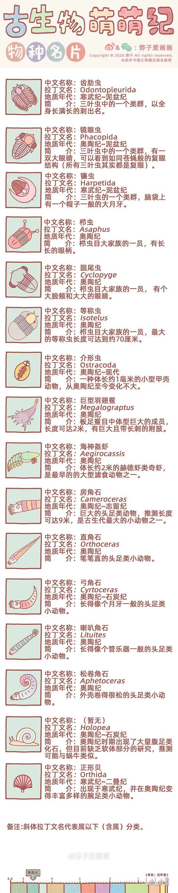 物种名片 奥陶纪1 第1页