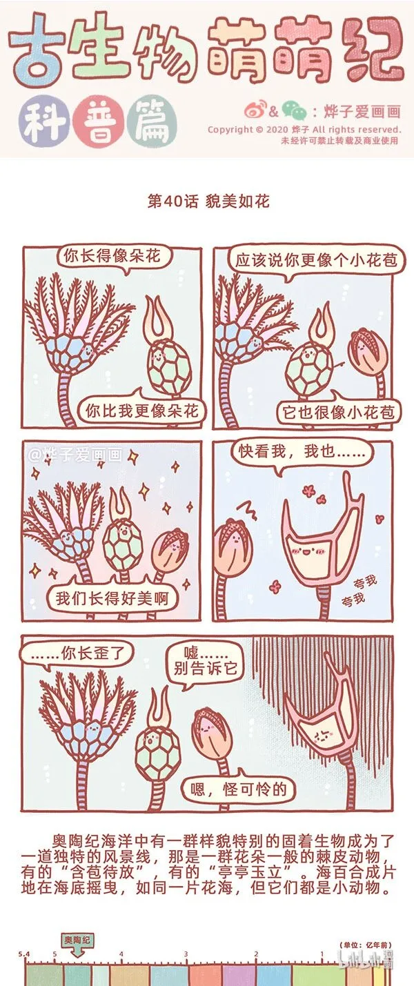 第40话 貌美如花 第1页