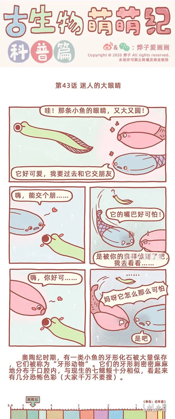 第43话 迷人的大眼睛 第1页