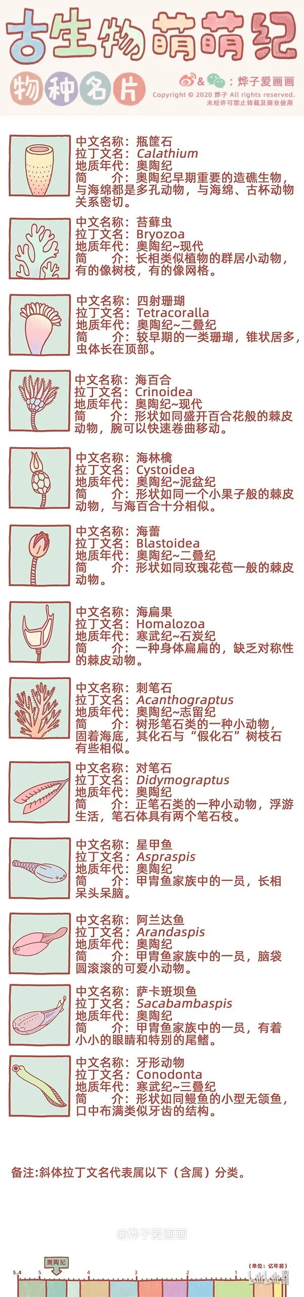 物种名片 奥陶纪2 第1页