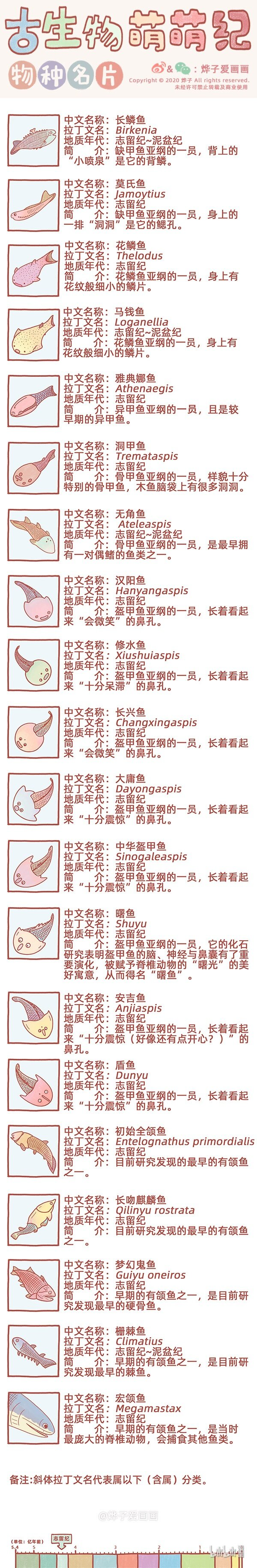 物种名片 志留纪1 第1页