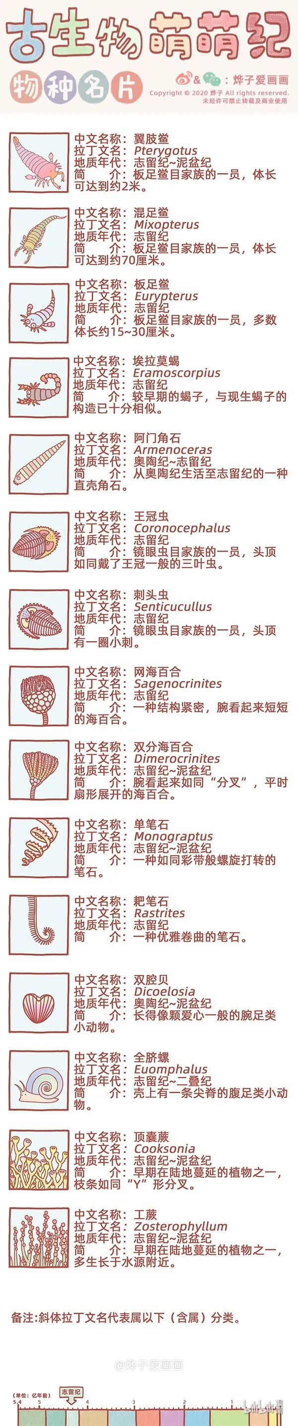 物种名片 志留纪2 第1页