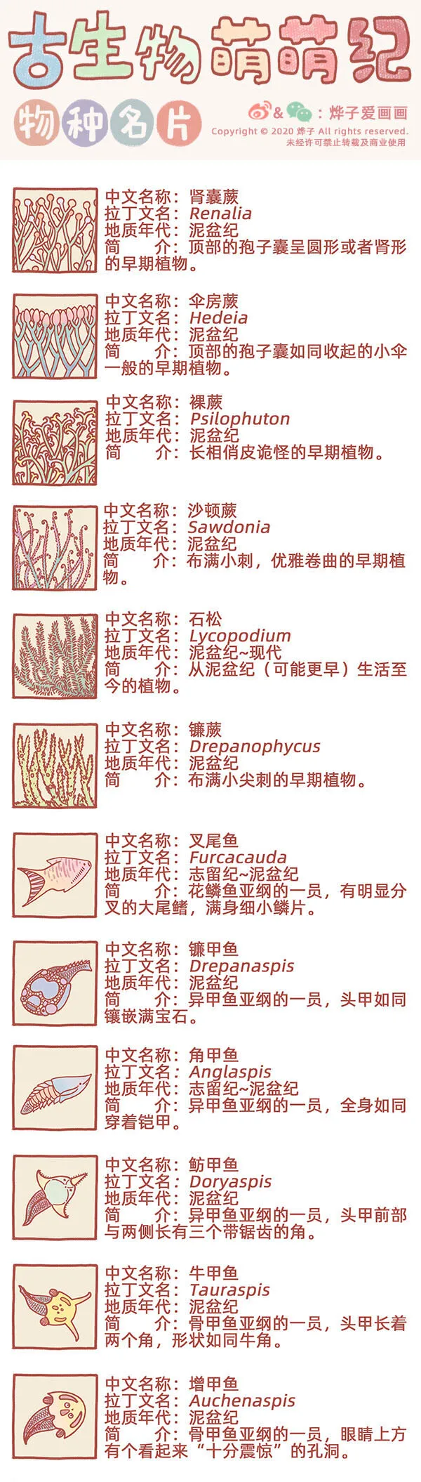 物种名片 泥盆纪1 第1页