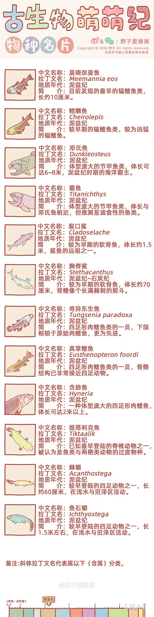物种名片 泥盆纪2 第1页