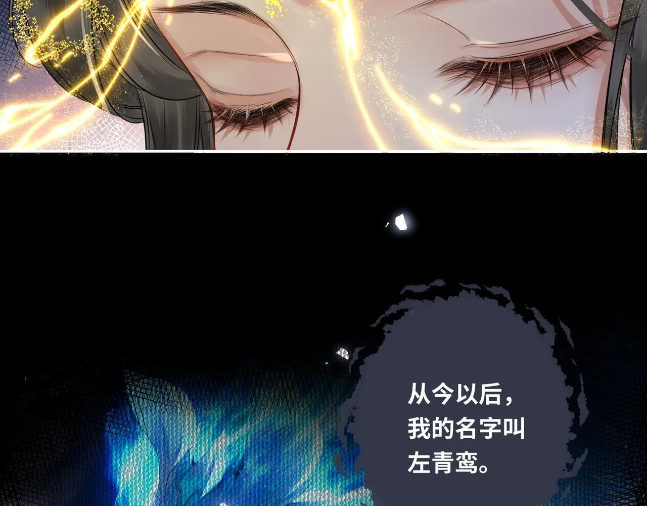 第20话 激活！凤凰神血 第86页