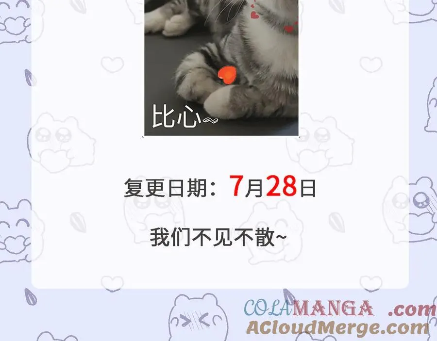 复更公告 第3页