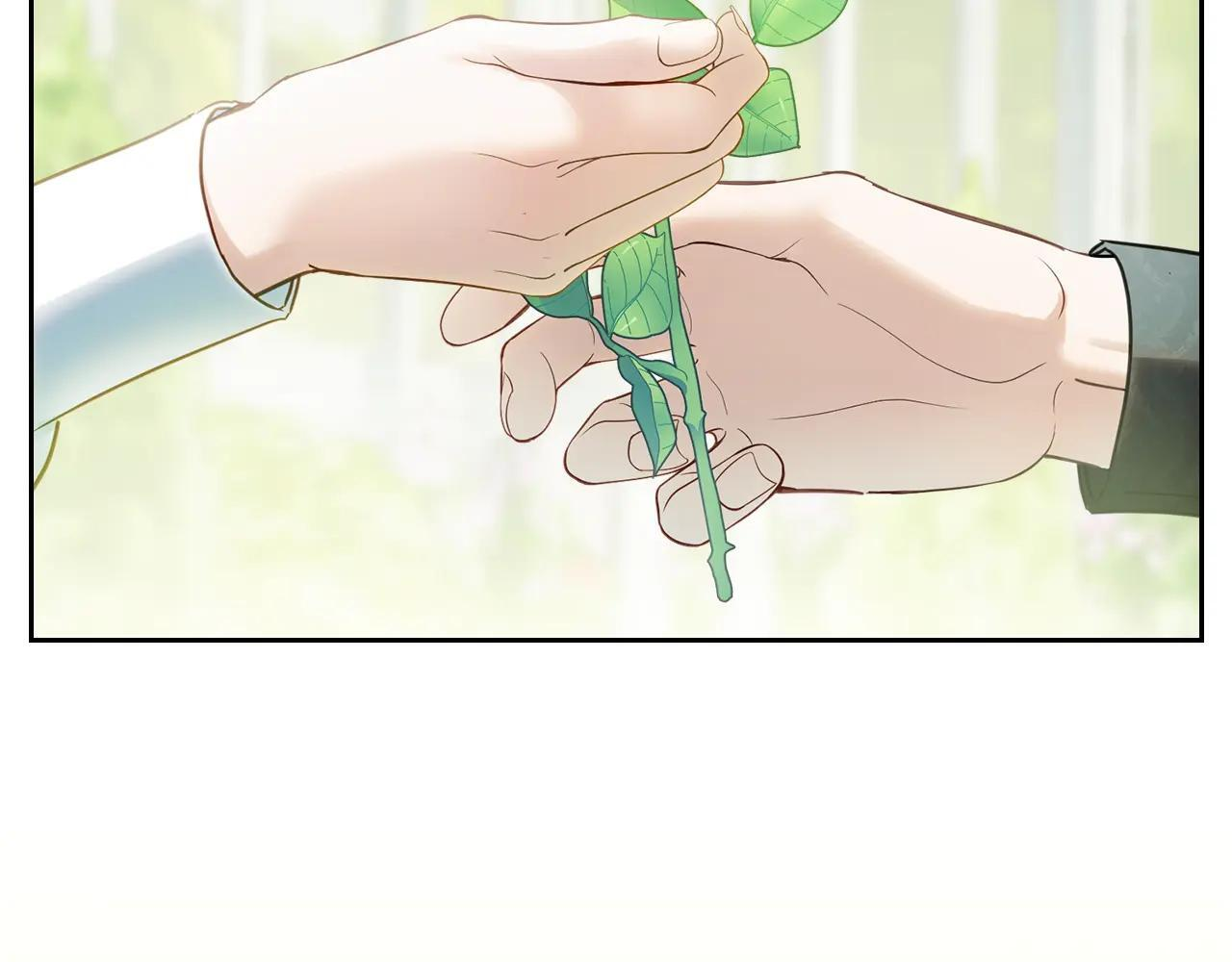第62话 送花 第211页