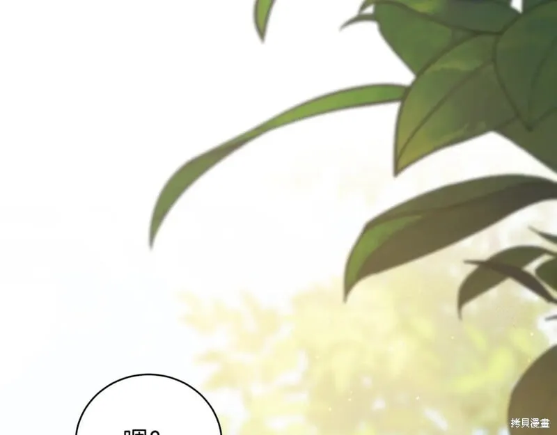 第41话 第120页