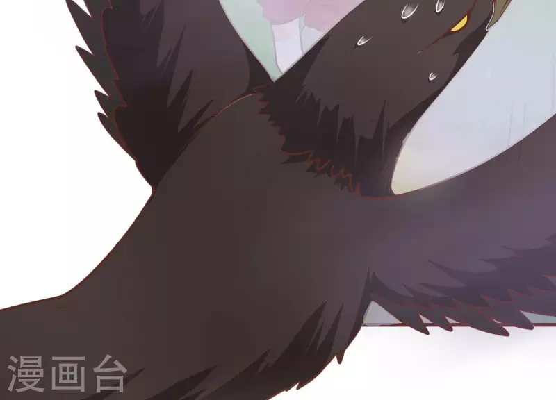 第77话 戏耍众呆 第44页