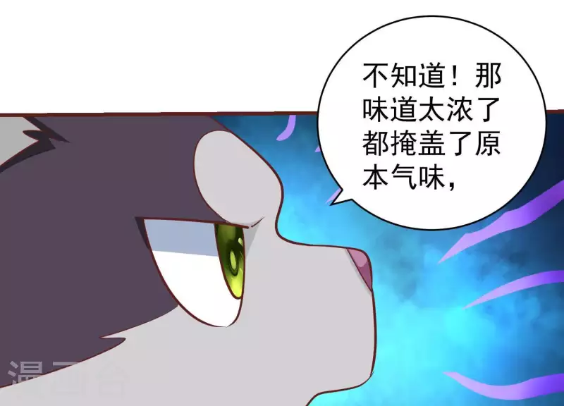第61话 机智如我 第11页