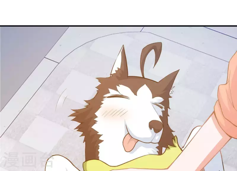 第4话 狗生真香 第60页