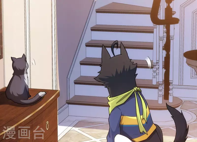 第18话 猫猫狗狗 第34页