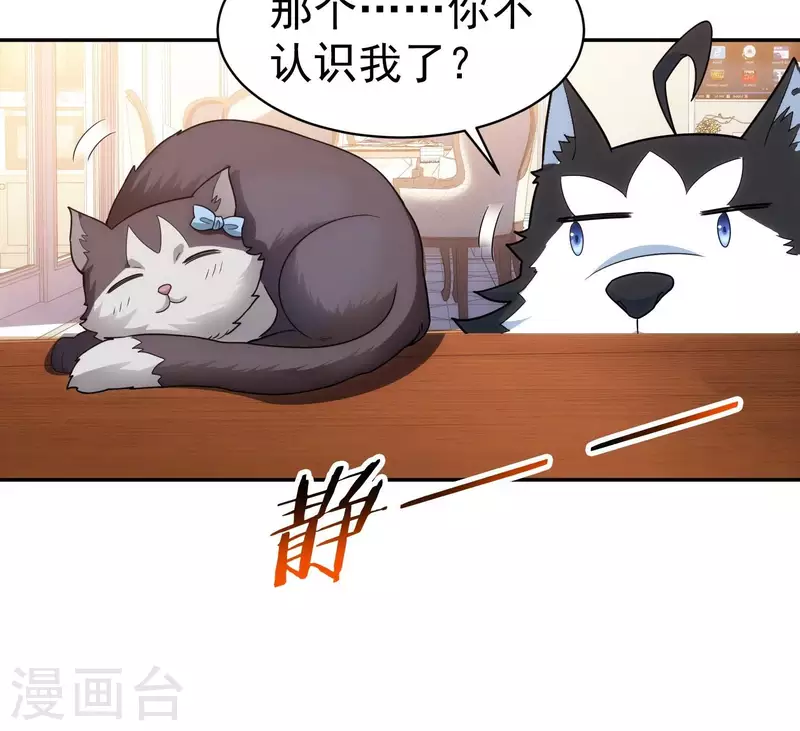 第18话 猫猫狗狗 第37页