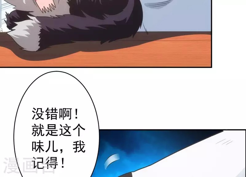 第18话 猫猫狗狗 第43页