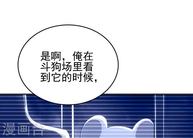 第21话 拯救小白 第41页