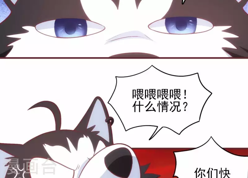 第34话 怎么是你 第14页