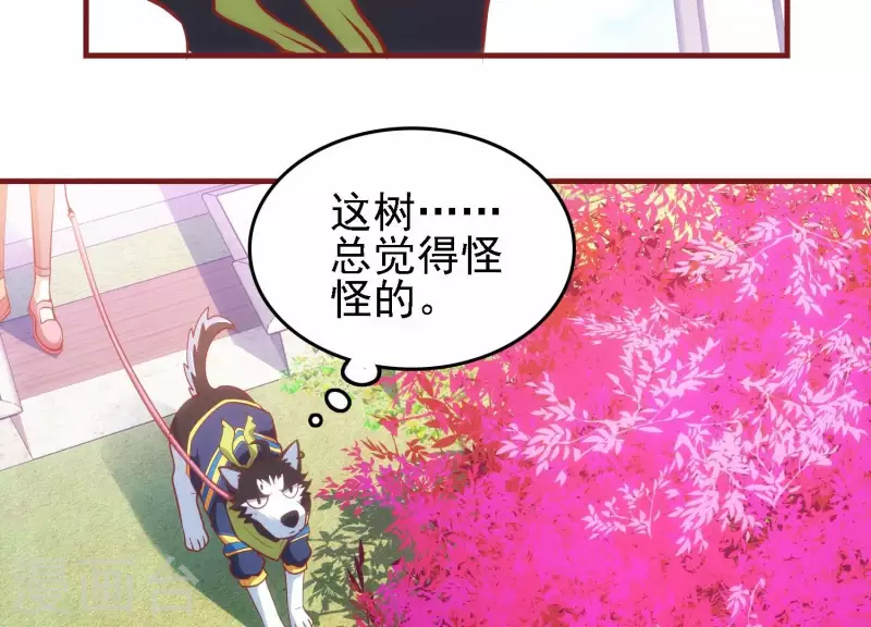 第41话 谁是爸爸 第12页