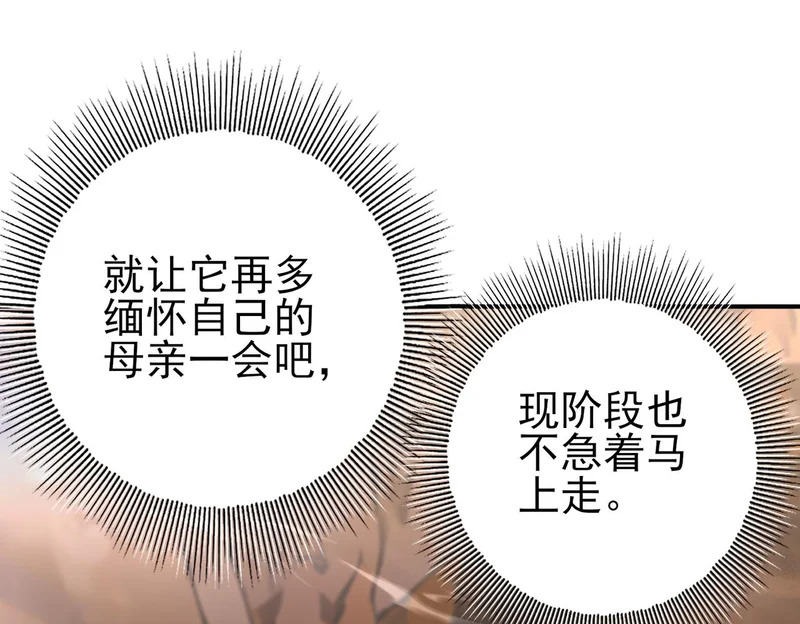 第178话 刃甲之铠 第15页