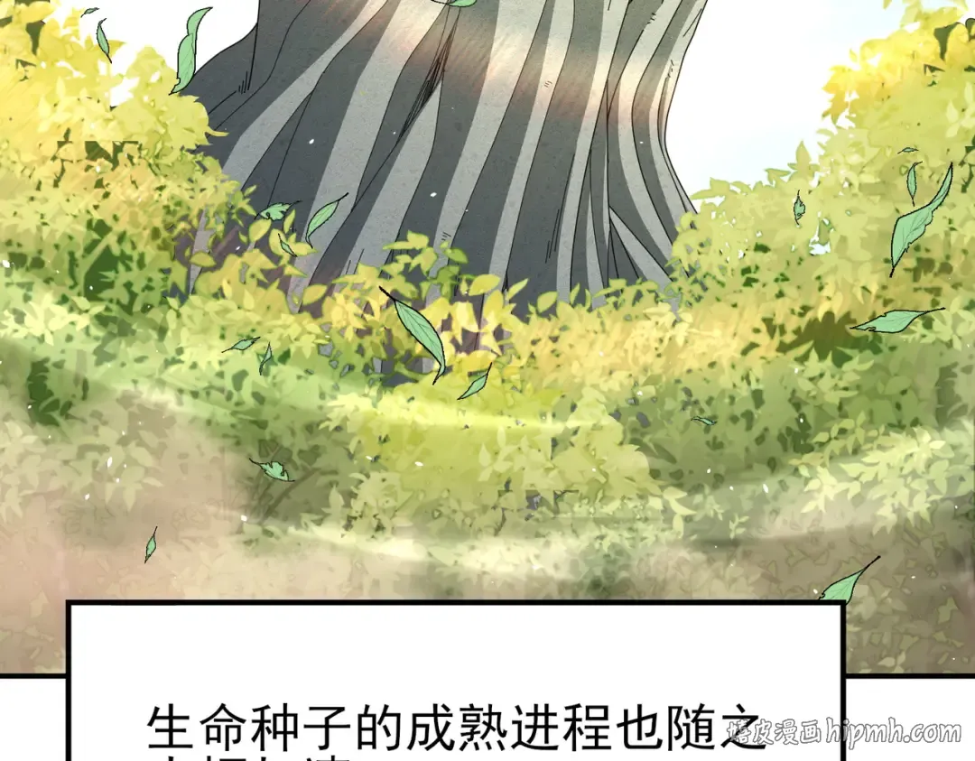 第213话 极北的重逢 第40页
