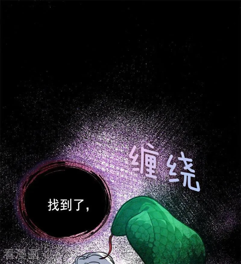 第44话 诅咒之影 第66页