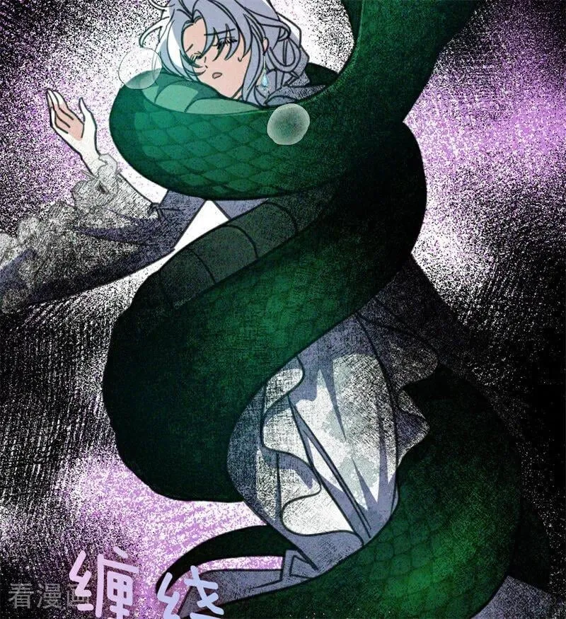 第44话 诅咒之影 第67页