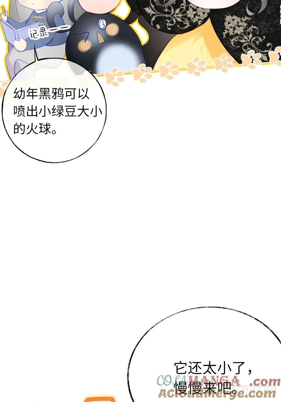 14-退婚 第34页