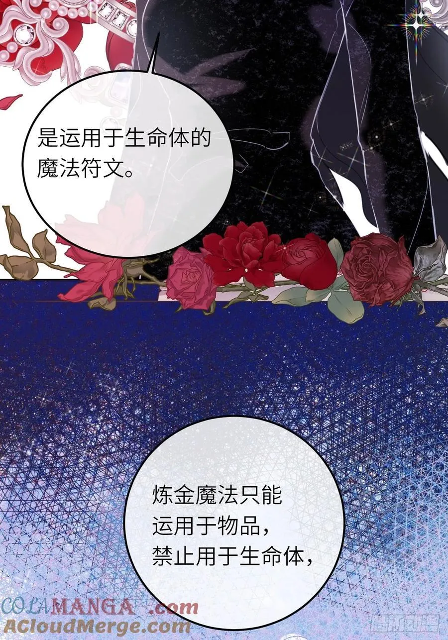 17-禁术与入学资格 第7页