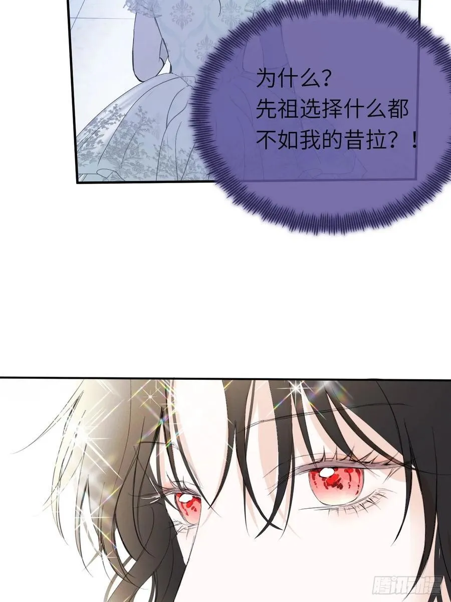 20-昔拉的“礼物” 第26页