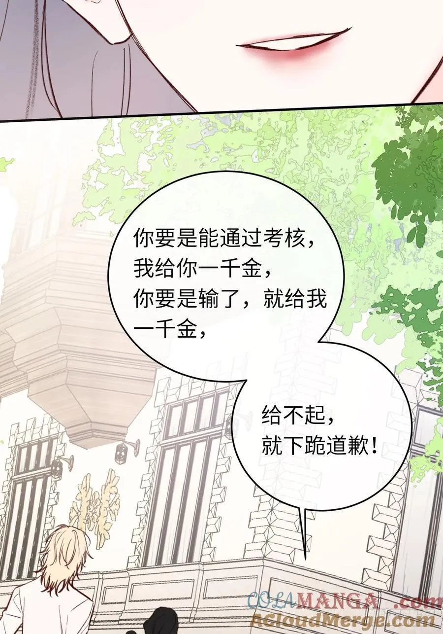 28-考核开始 第13页