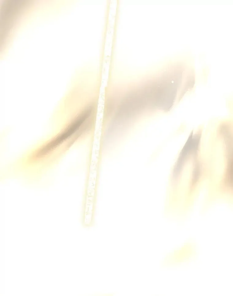24.神龙超度者 第87页