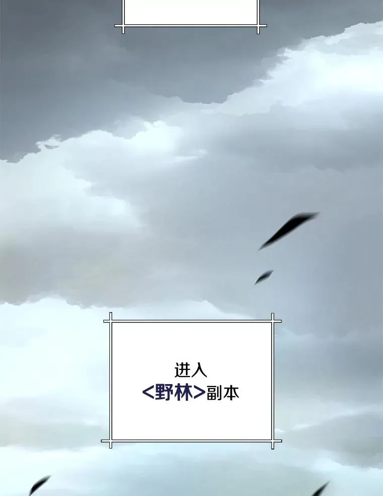 38.进入野林副本 第10页