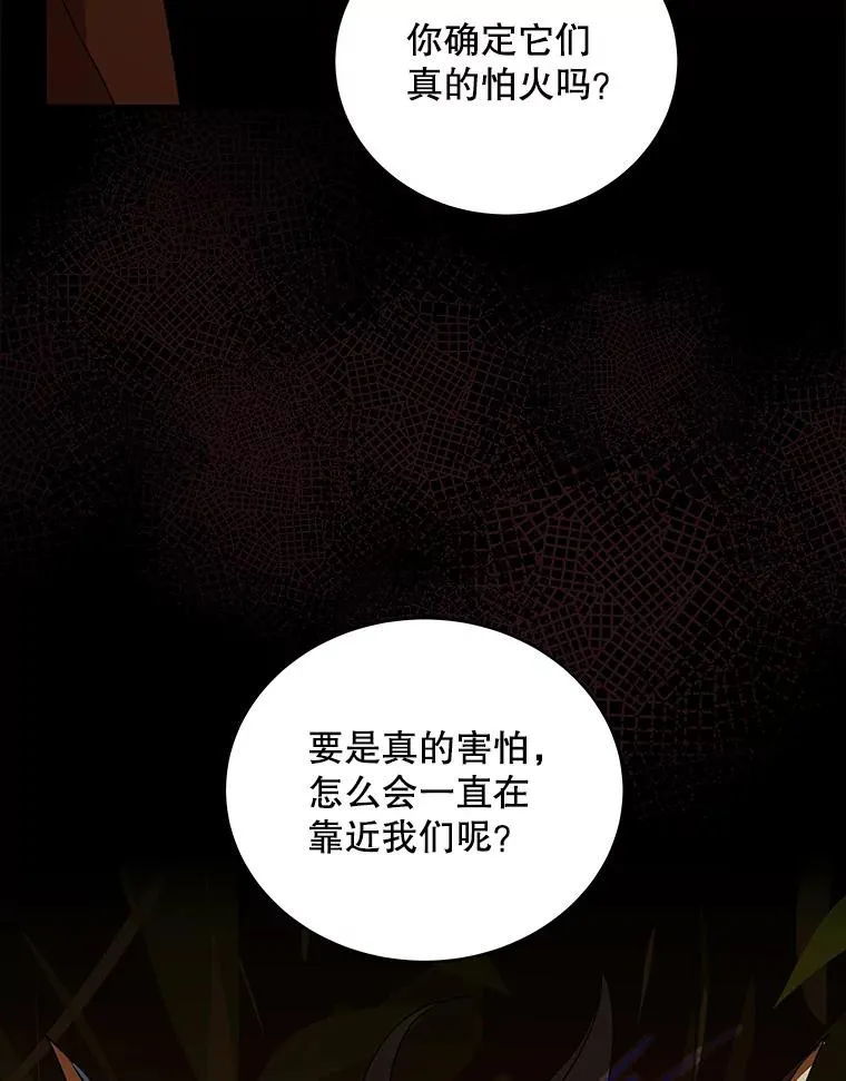 38.进入野林副本 第104页