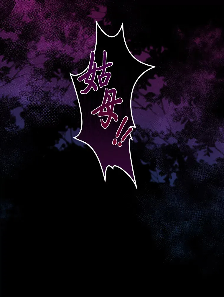 17.与姑母博弈 第25页