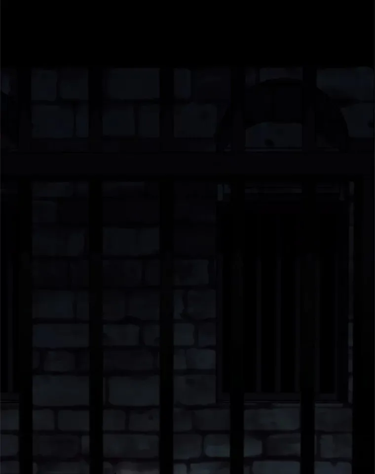 22.秘密宅邸 第95页