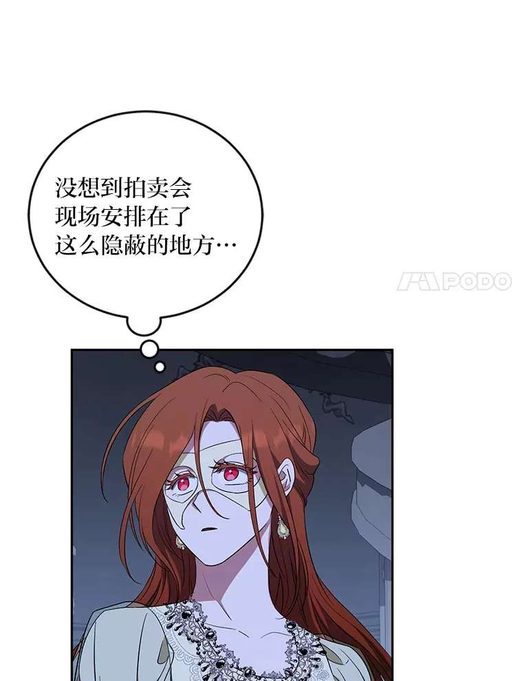 27.潜入拍卖会现场 第11页