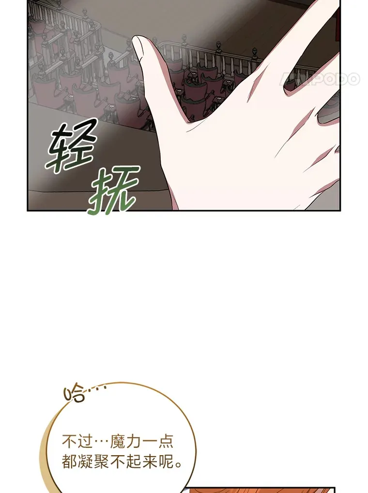 27.潜入拍卖会现场 第29页