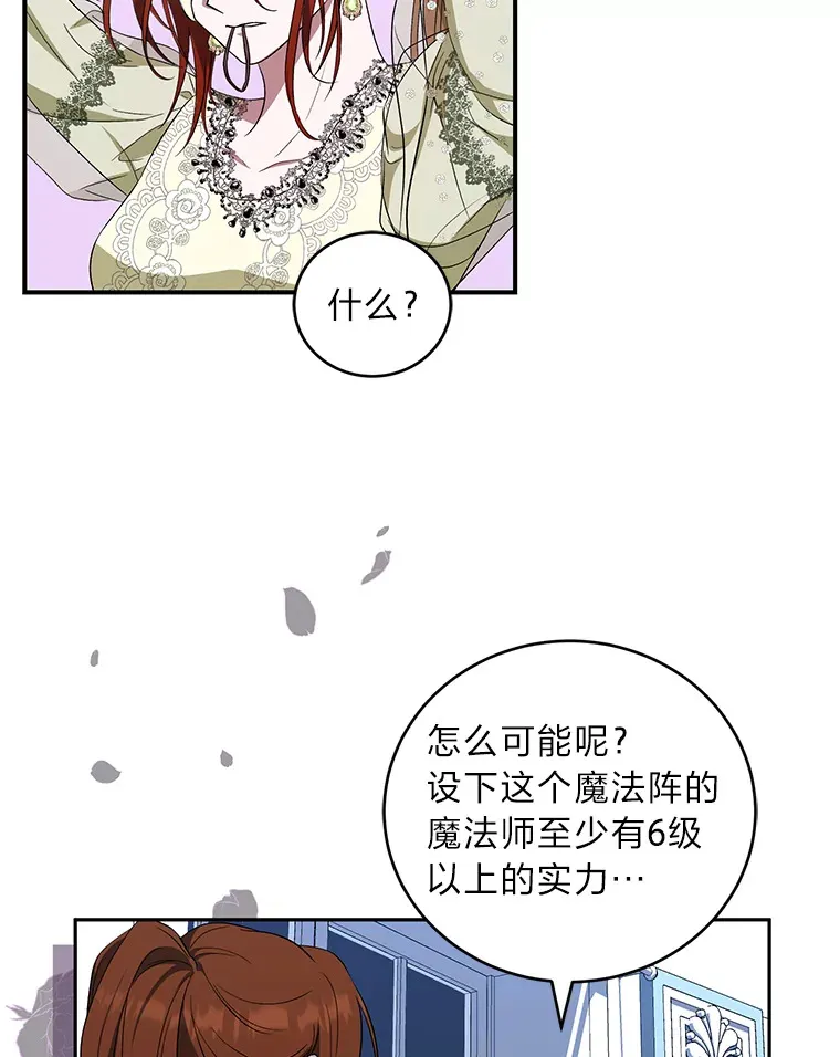 27.潜入拍卖会现场 第50页