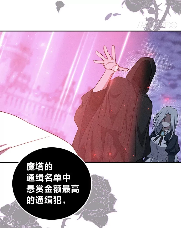 27.潜入拍卖会现场 第52页