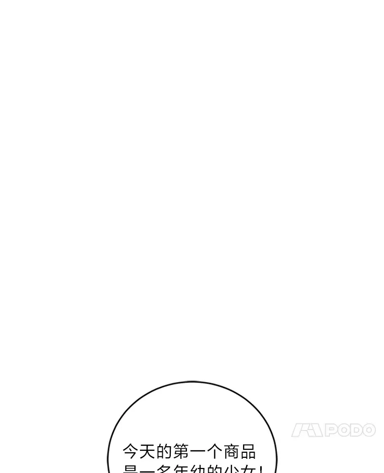 27.潜入拍卖会现场 第94页