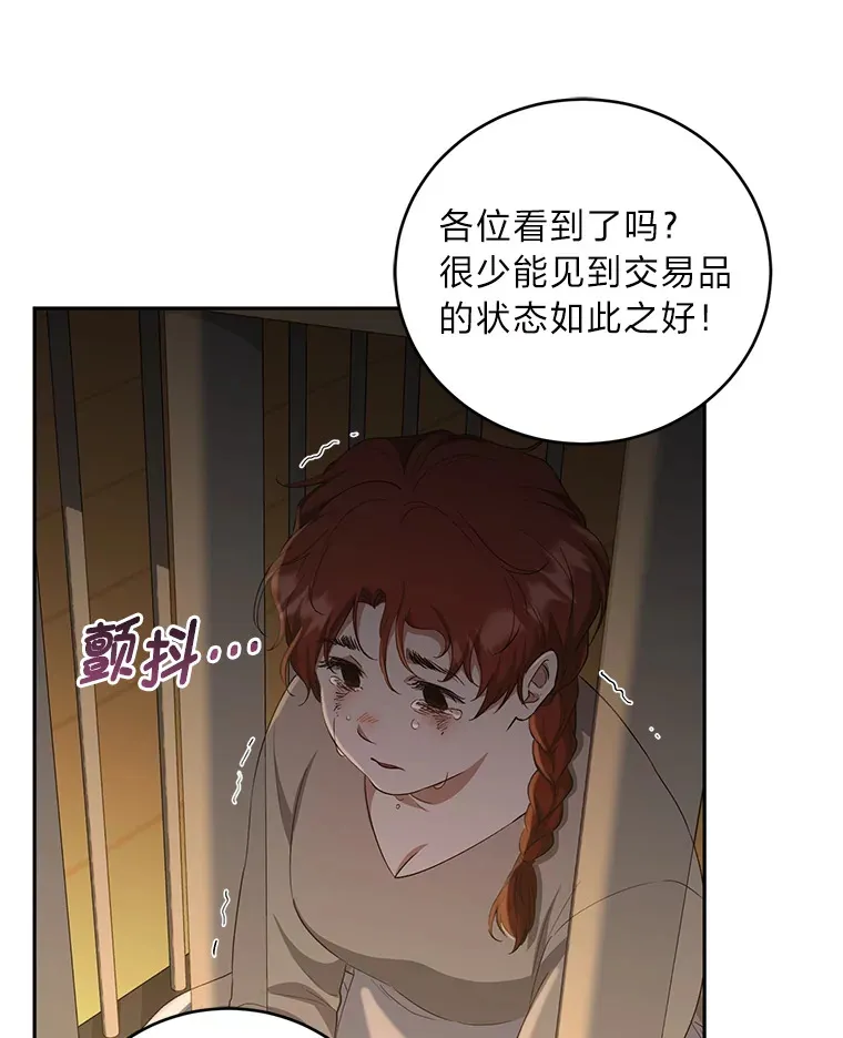 27.潜入拍卖会现场 第96页