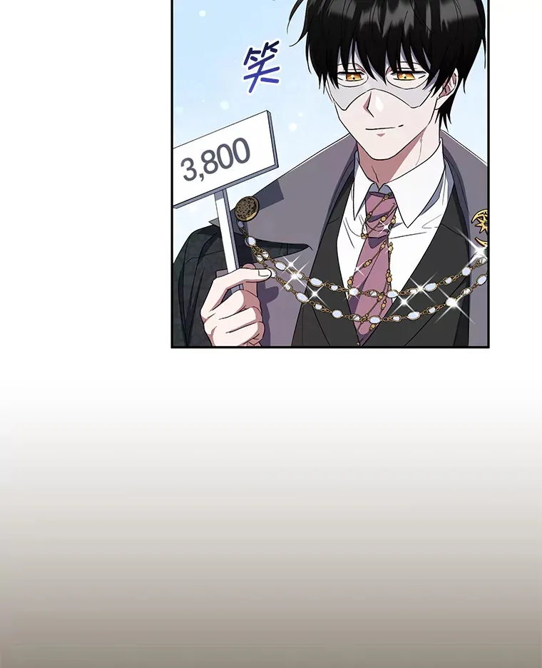 27.潜入拍卖会现场 第99页