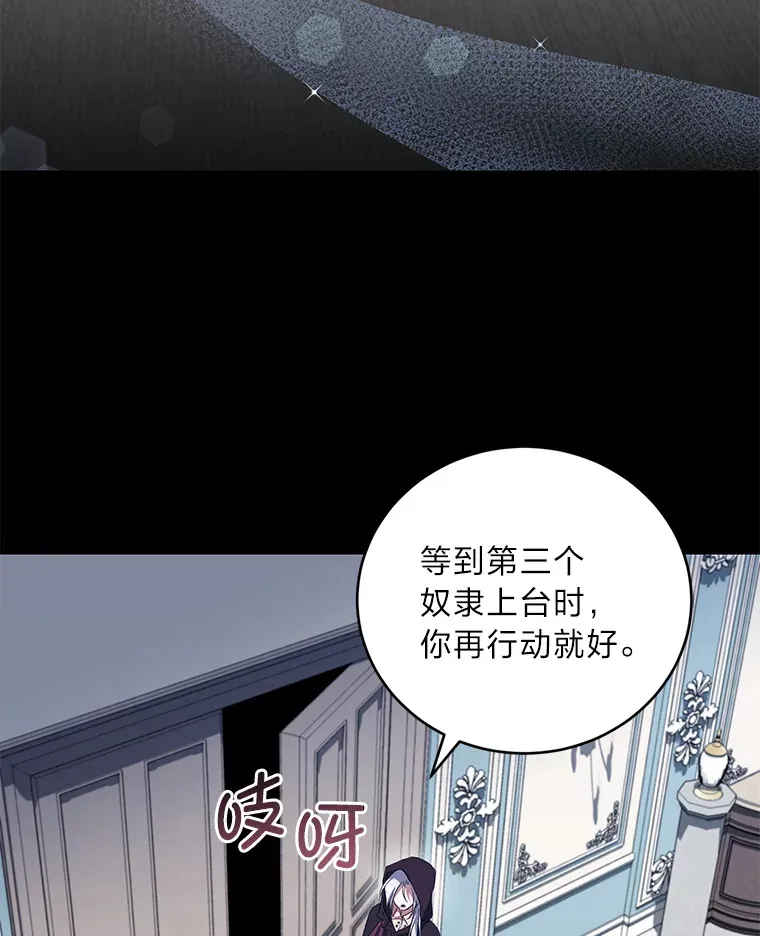 27.潜入拍卖会现场 第102页