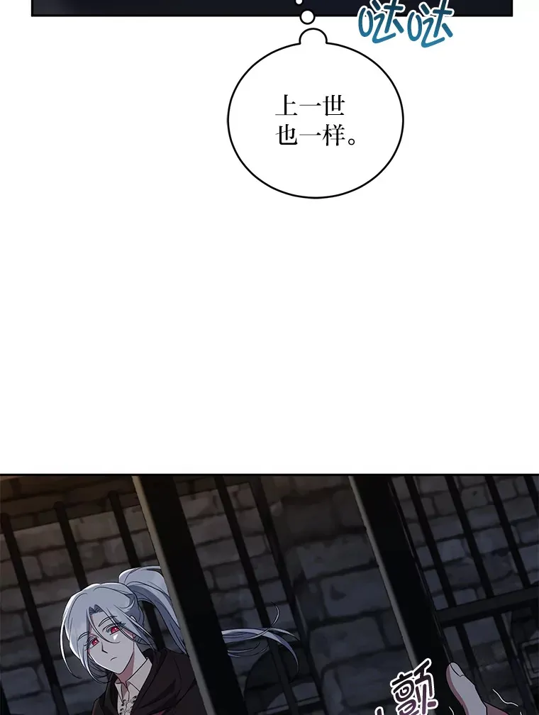 28.桀骜不驯的狼 第25页